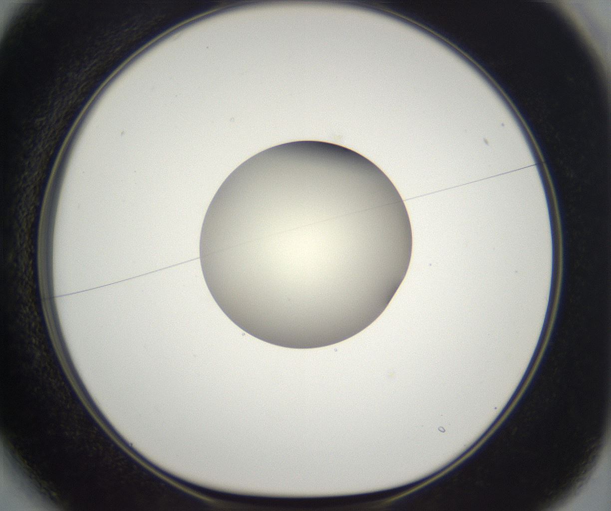 folderID290_plateID2290_batchID10843_wellNum13_profileID1_d1_r160666_ef.jpg