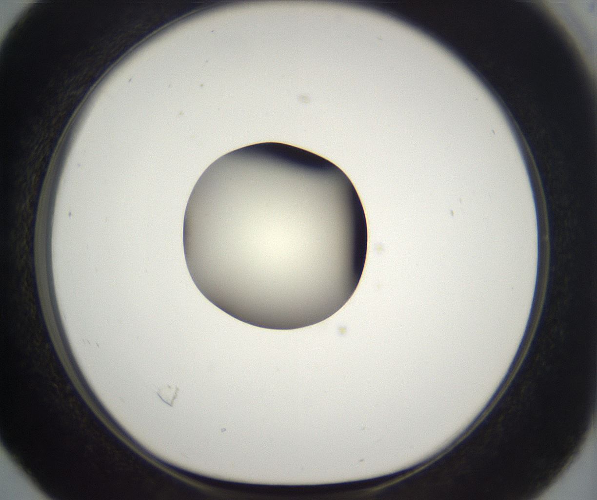 folderID290_plateID2290_batchID10843_wellNum16_profileID1_d1_r160669_ef.jpg