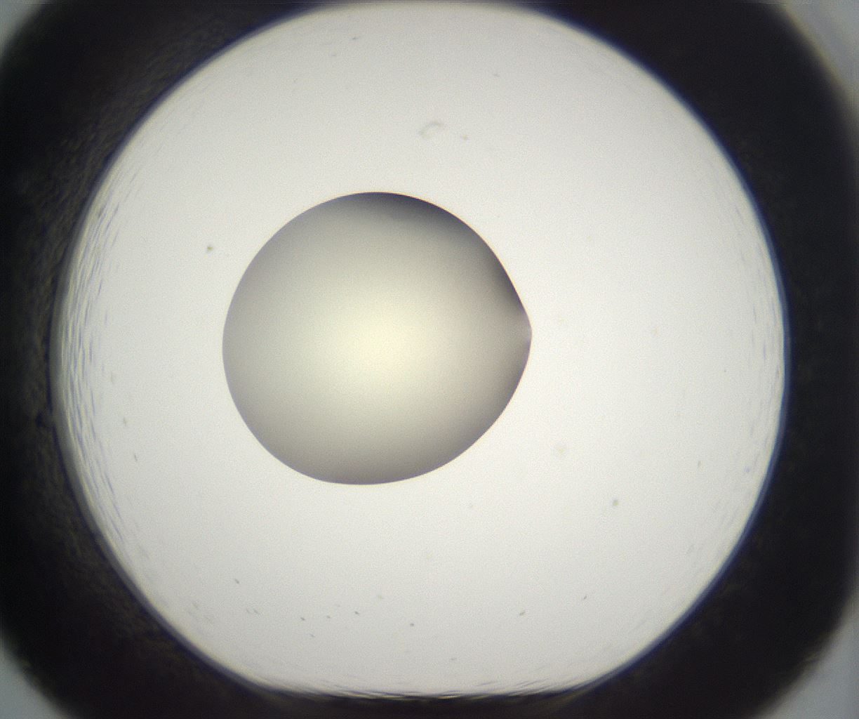 folderID290_plateID2290_batchID10843_wellNum19_profileID1_d1_r160672_ef.jpg