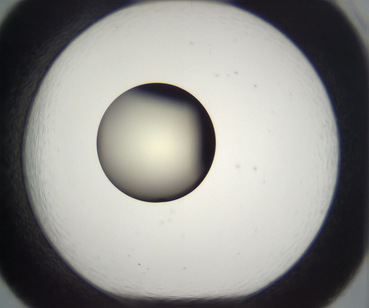 folderID290_plateID2290_batchID10843_wellNum20_profileID1_d1_r160673_ef.jpg