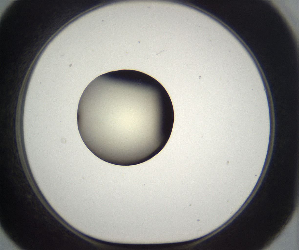 folderID290_plateID2290_batchID10843_wellNum21_profileID1_d1_r160674_ef.jpg
