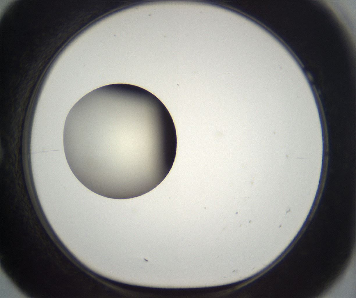 folderID290_plateID2290_batchID10843_wellNum7_profileID1_d1_r160660_ef.jpg