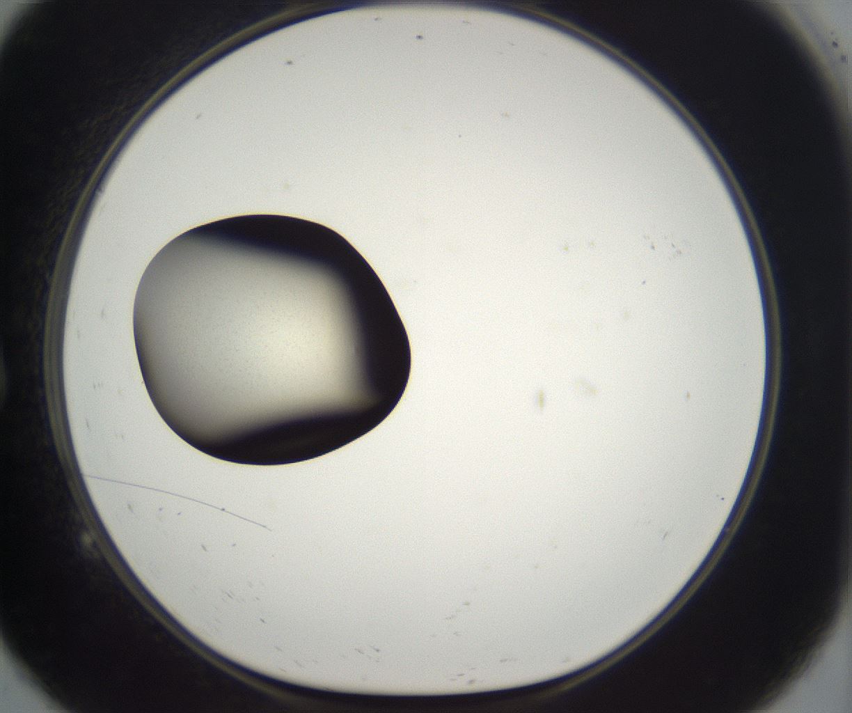 folderID290_plateID2290_batchID10843_wellNum9_profileID1_d1_r160662_ef.jpg
