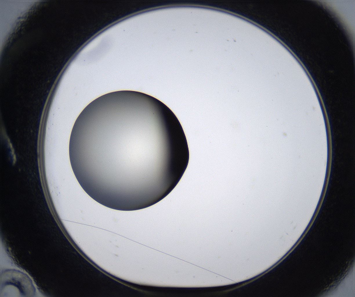 folderID291_plateID2291_batchID10819_wellNum10_profileID1_d1_r159991_ef.jpg
