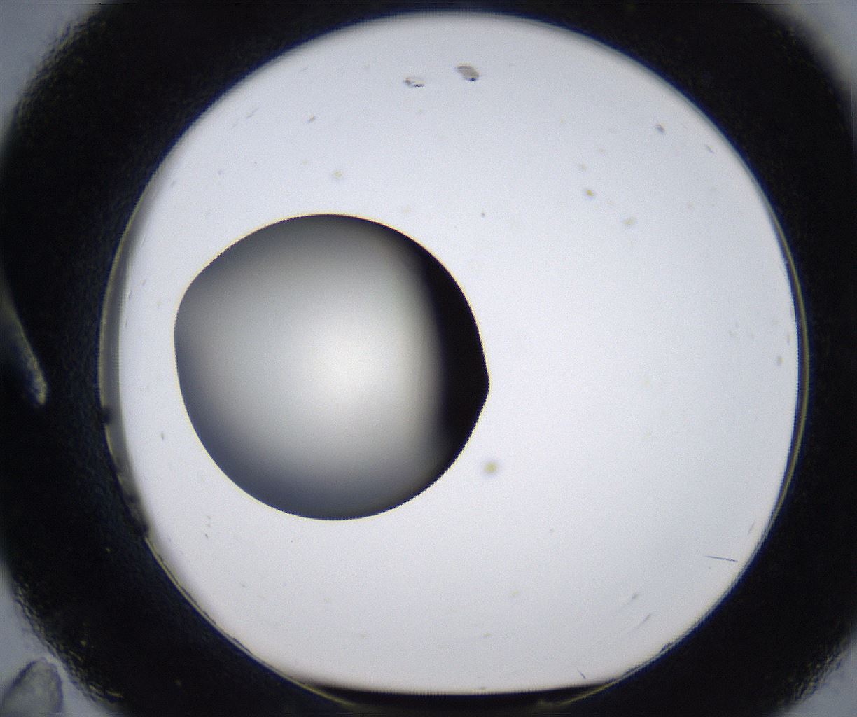 folderID291_plateID2291_batchID10819_wellNum11_profileID1_d1_r159992_ef.jpg