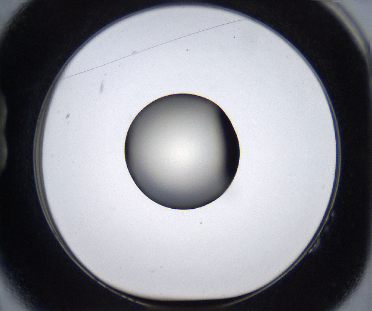 folderID291_plateID2291_batchID10819_wellNum14_profileID1_d1_r159995_ef.jpg