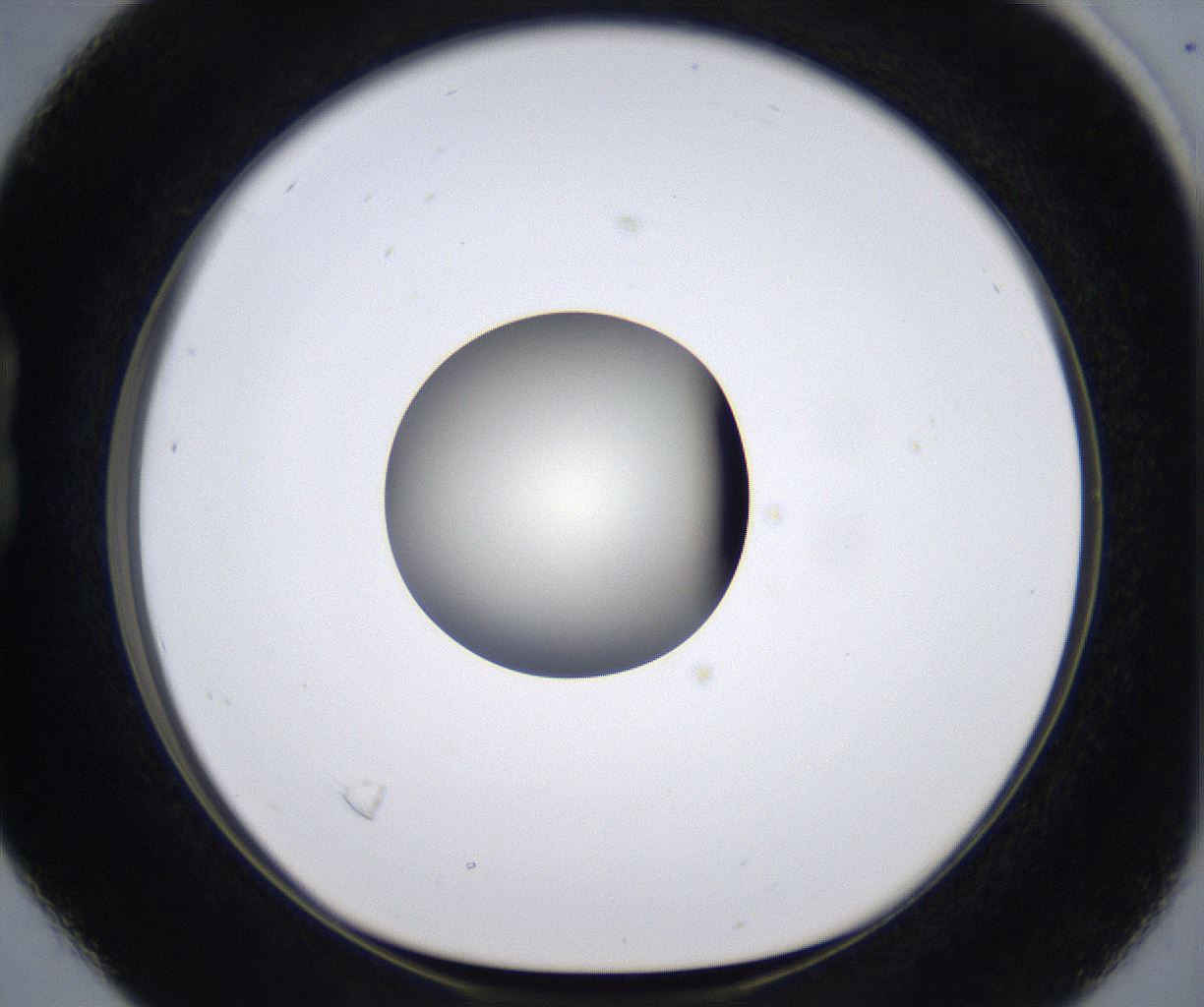 folderID291_plateID2291_batchID10819_wellNum16_profileID1_d1_r159997_ef.jpg