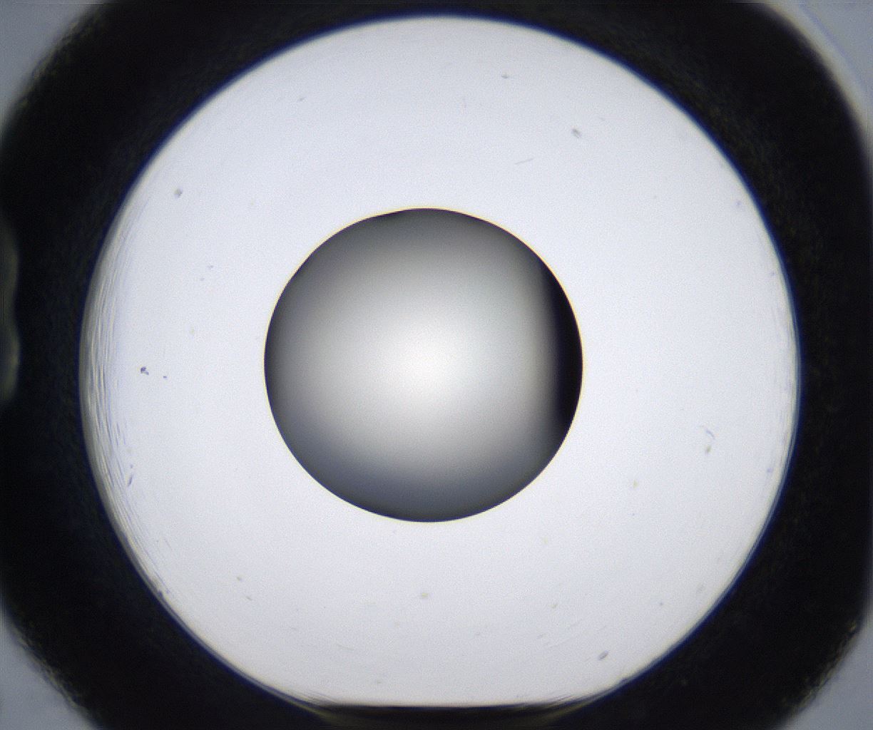 folderID291_plateID2291_batchID10819_wellNum18_profileID1_d1_r159999_ef.jpg