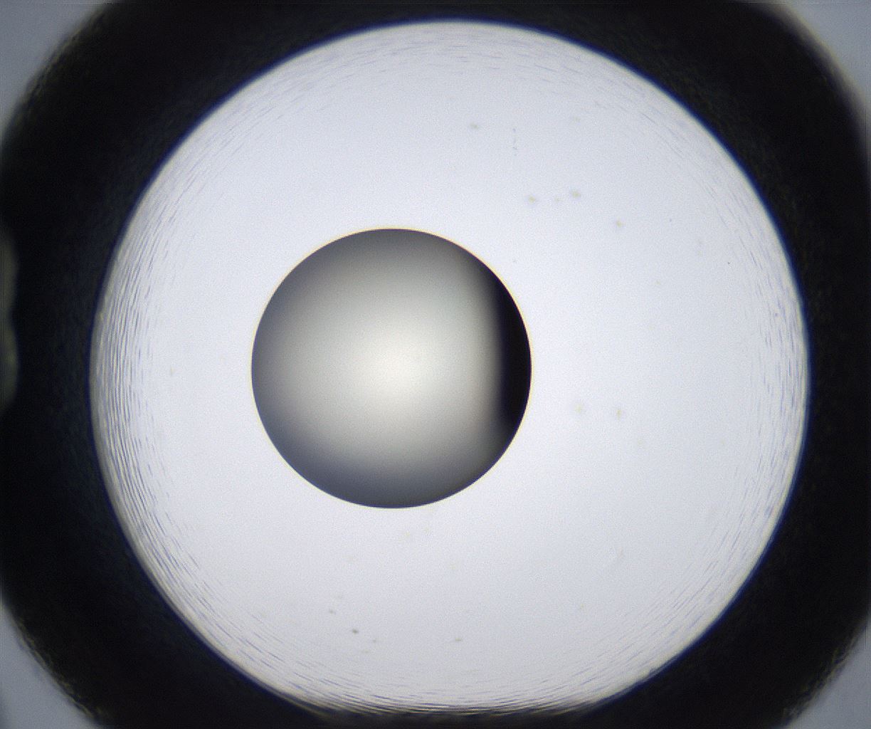folderID291_plateID2291_batchID10819_wellNum20_profileID1_d1_r160001_ef.jpg