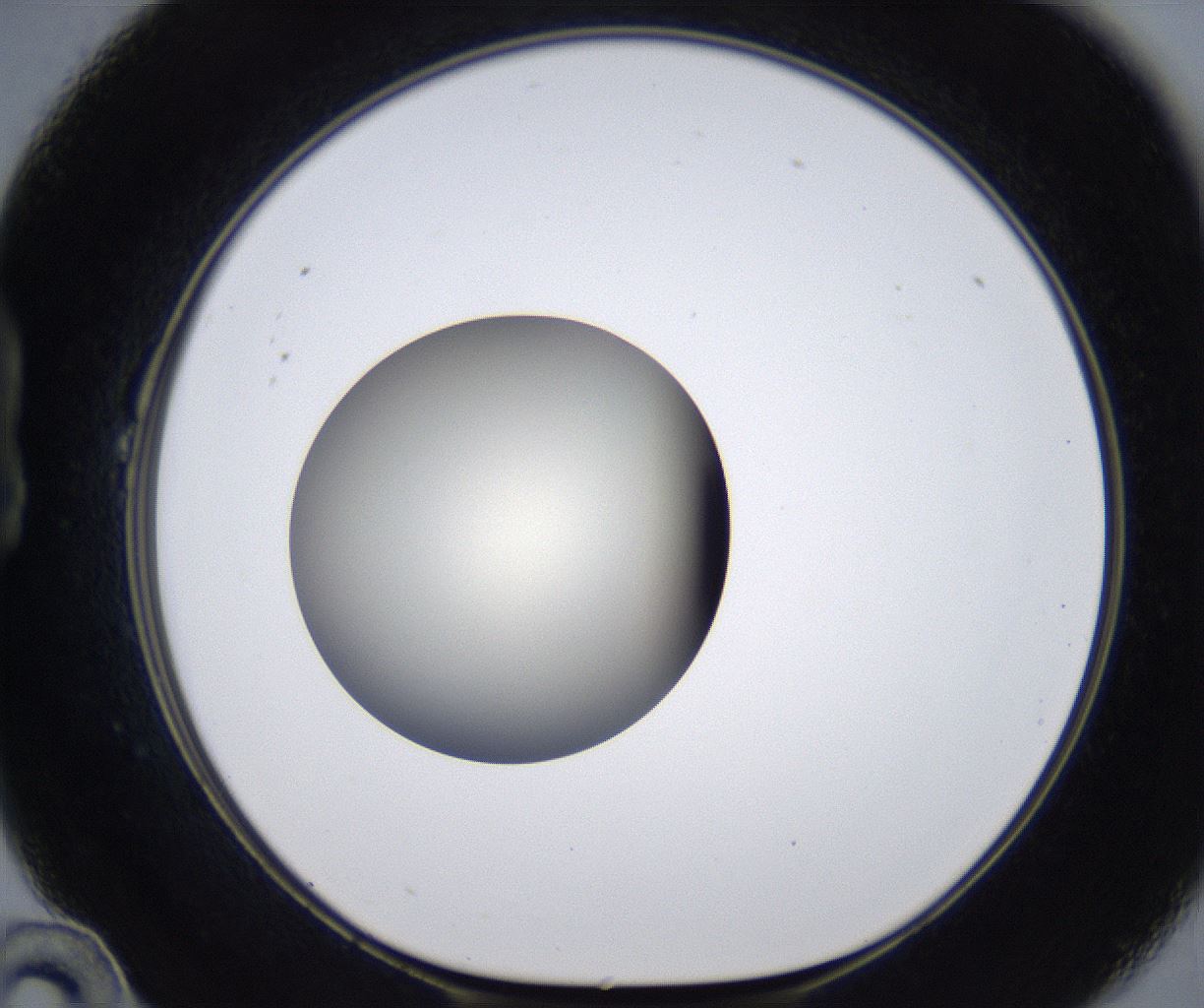 folderID291_plateID2291_batchID10819_wellNum22_profileID1_d1_r160003_ef.jpg