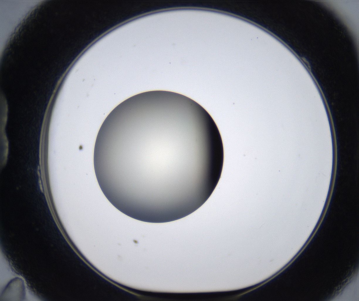 folderID291_plateID2291_batchID10819_wellNum23_profileID1_d1_r160004_ef.jpg