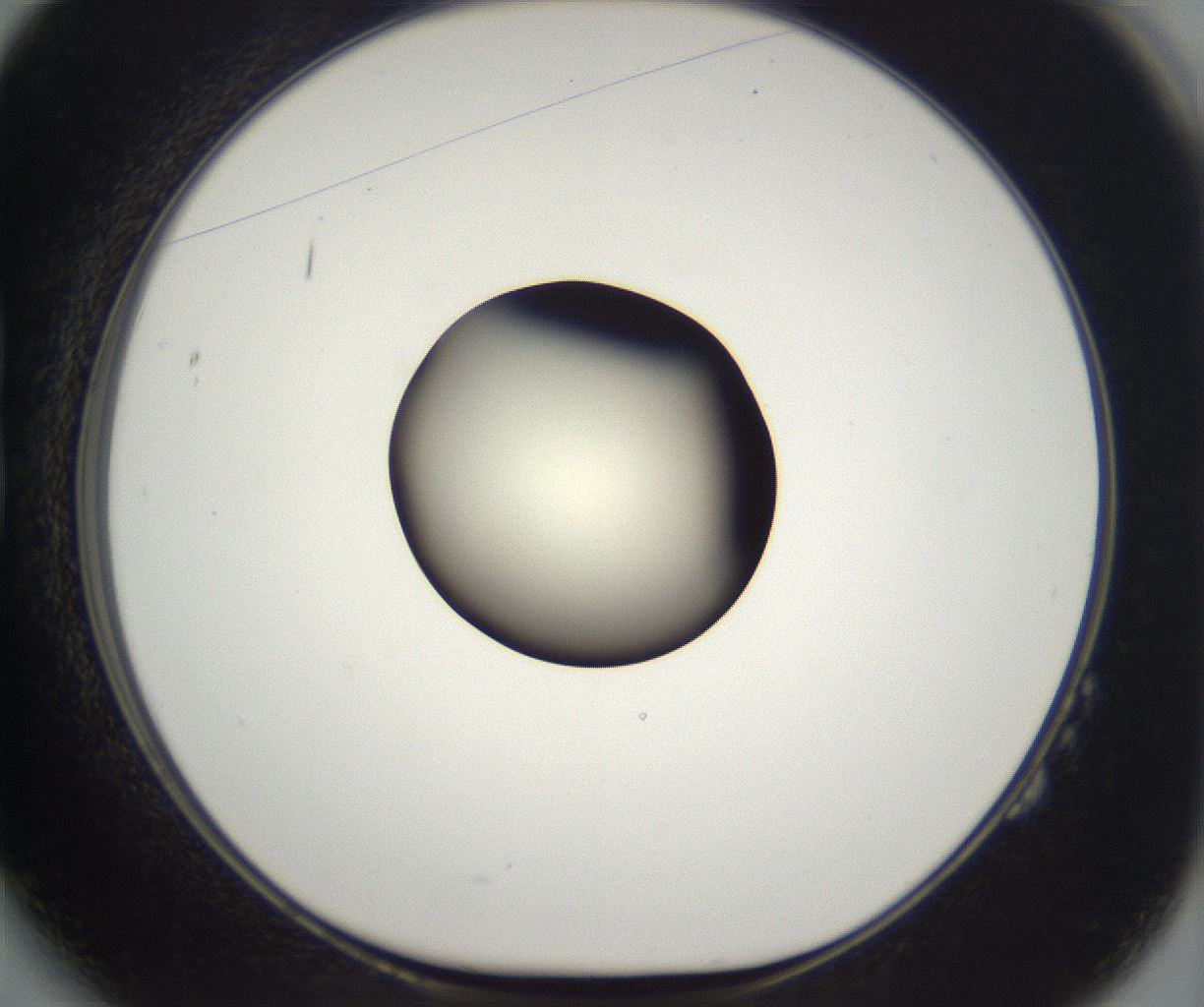 folderID290_plateID2290_batchID10843_wellNum14_profileID1_d1_r160667_ef.jpg
