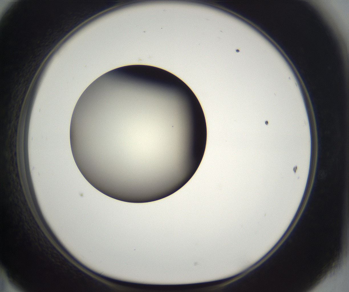 folderID290_plateID2290_batchID10843_wellNum47_profileID1_d1_r160700_ef.jpg