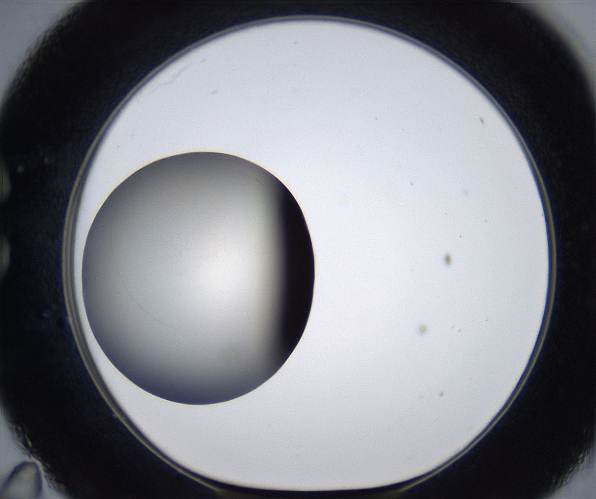 folderID291_plateID2291_batchID10819_wellNum35_profileID1_d1_r160016_ef.jpg