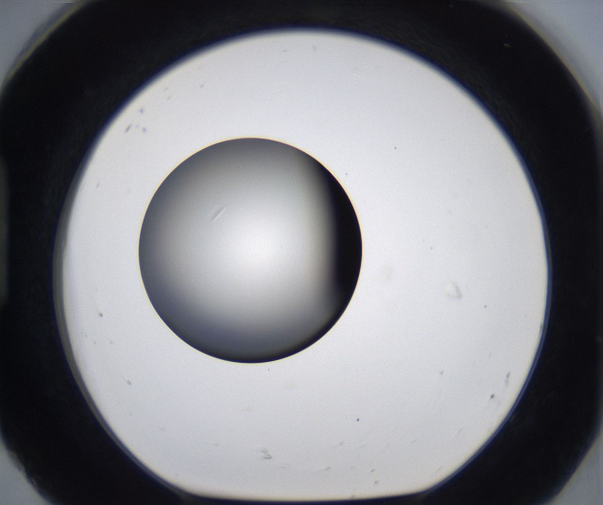 folderID291_plateID2291_batchID10819_wellNum92_profileID1_d1_r160073_ef.jpg