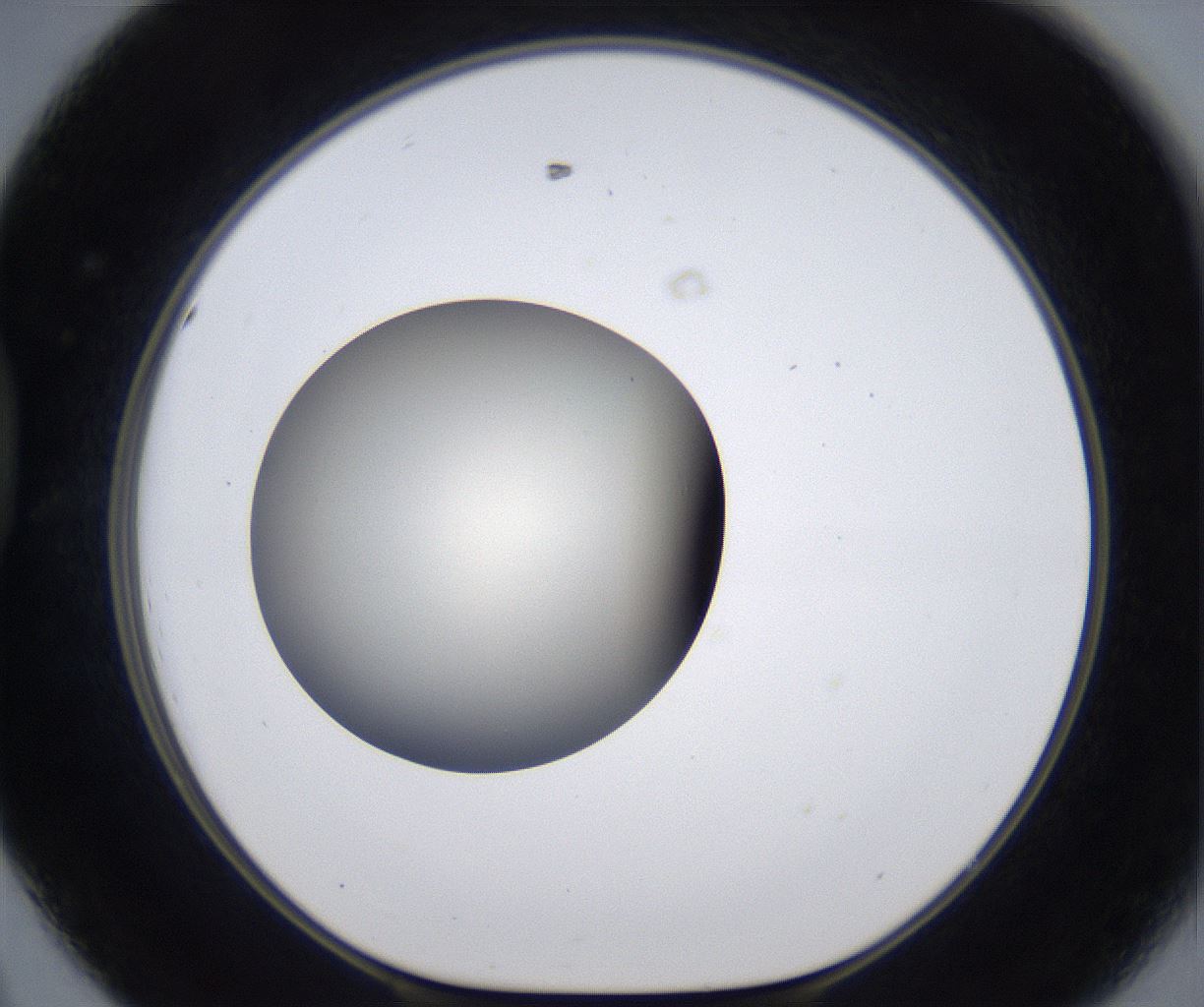 folderID291_plateID2291_batchID10819_wellNum44_profileID1_d1_r160025_ef.jpg
