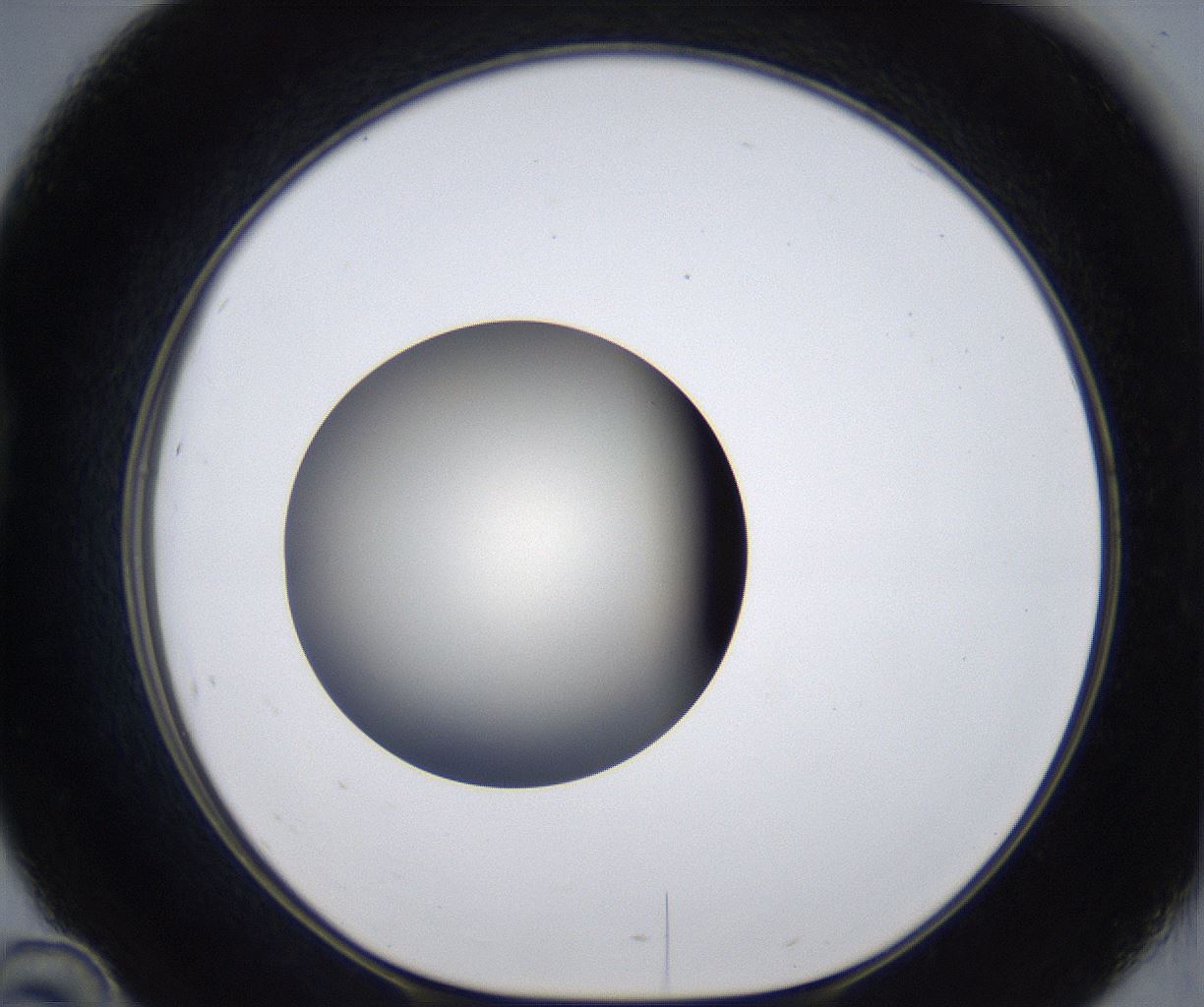 folderID291_plateID2291_batchID10819_wellNum46_profileID1_d1_r160027_ef.jpg