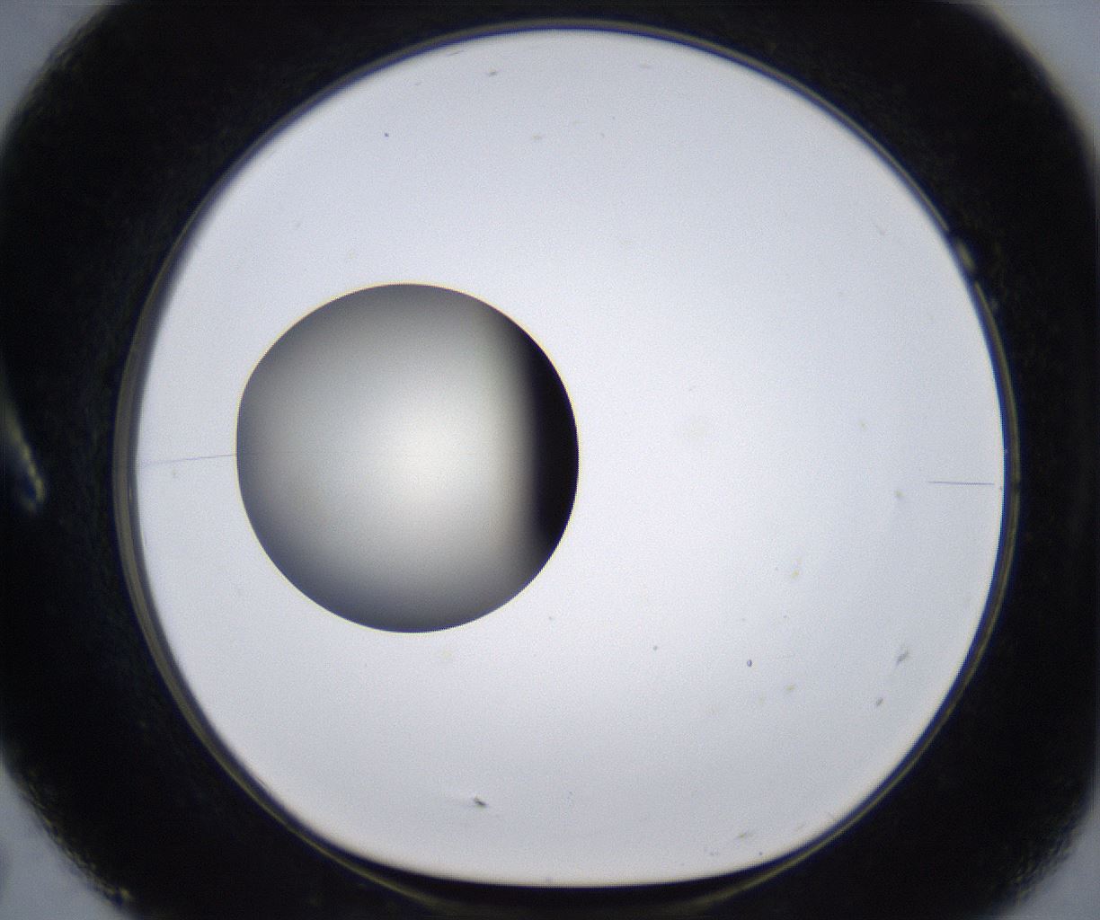 folderID291_plateID2291_batchID10819_wellNum7_profileID1_d1_r159988_ef.jpg