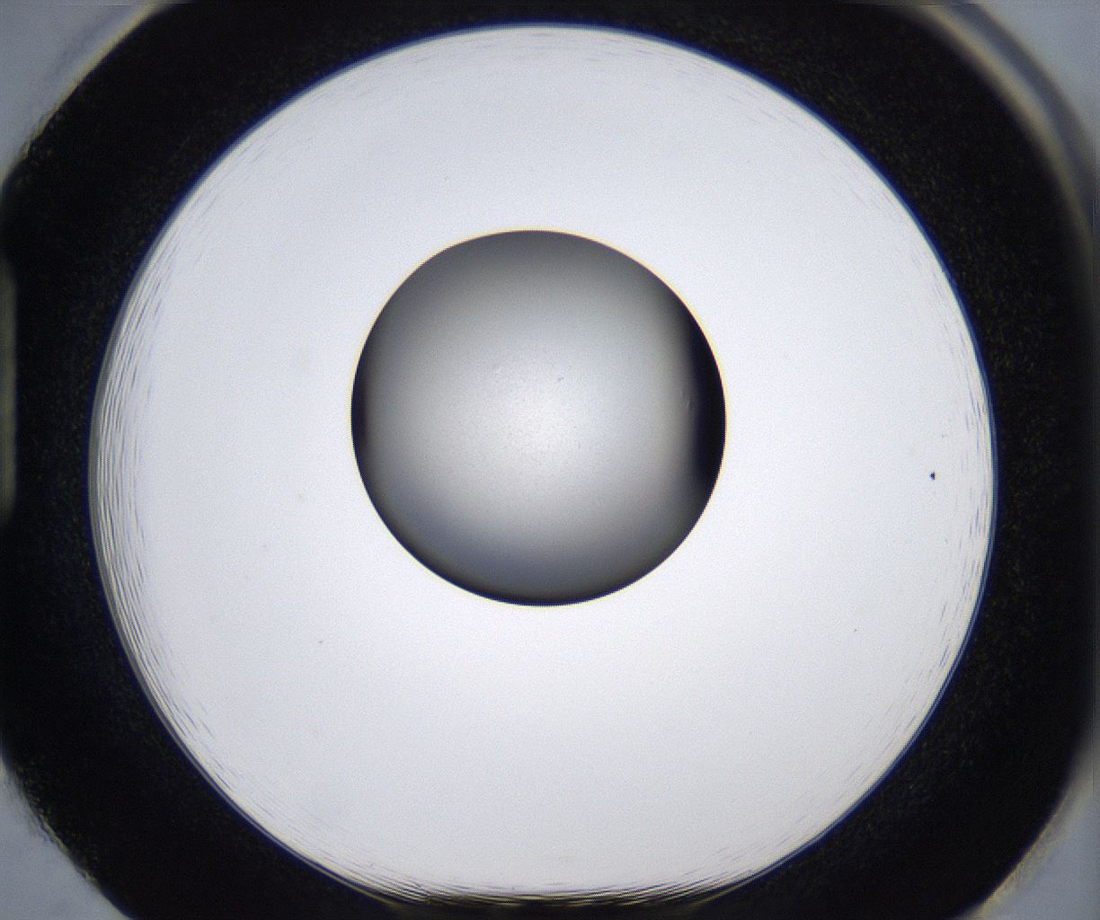 folderID291_plateID2291_batchID10819_wellNum85_profileID1_d1_r160066_ef.jpg