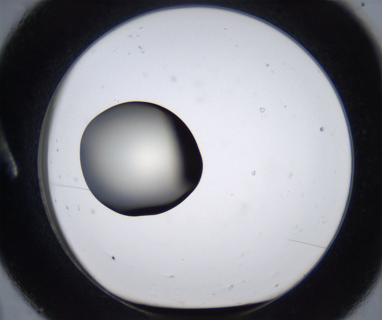 folderID291_plateID2291_batchID10819_wellNum8_profileID1_d1_r159989_ef.jpg