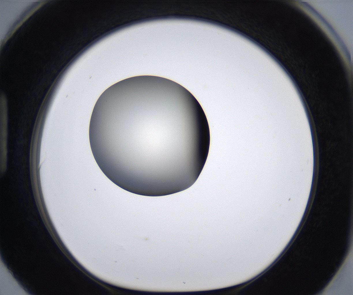 folderID291_plateID2291_batchID10819_wellNum90_profileID1_d1_r160071_ef.jpg