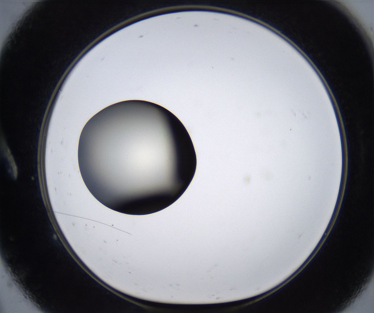 folderID291_plateID2291_batchID10819_wellNum9_profileID1_d1_r159990_ef.jpg