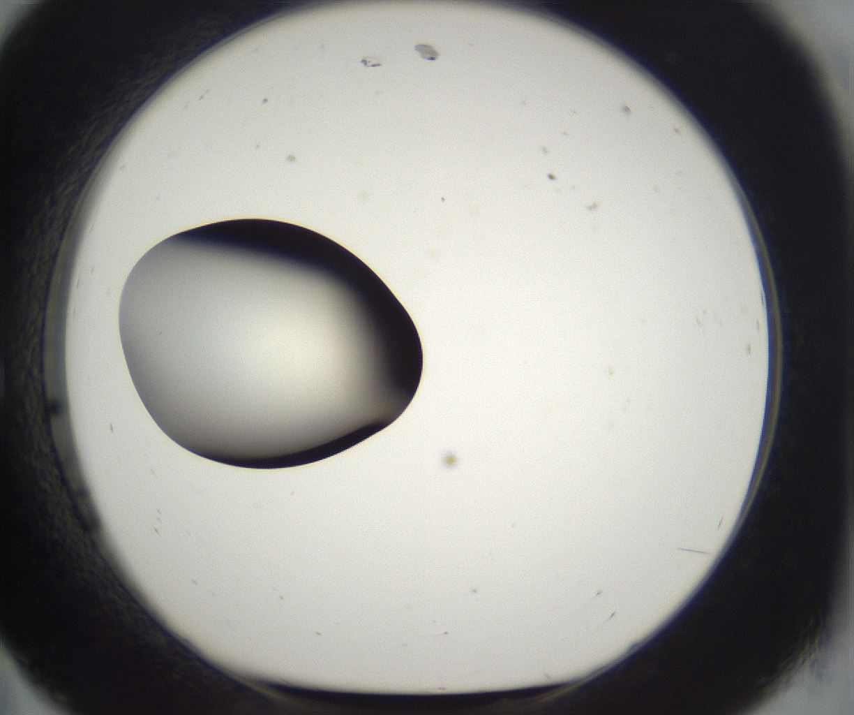 folderID292_plateID2292_batchID10845_wellNum11_profileID1_d1_r160760_ef.jpg