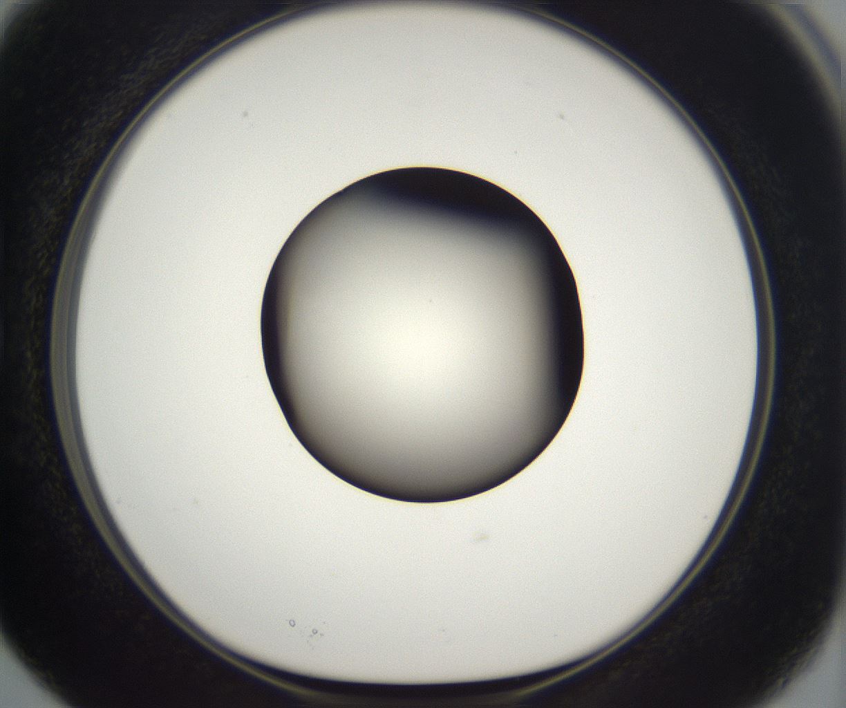 folderID292_plateID2292_batchID10845_wellNum15_profileID1_d1_r160764_ef.jpg