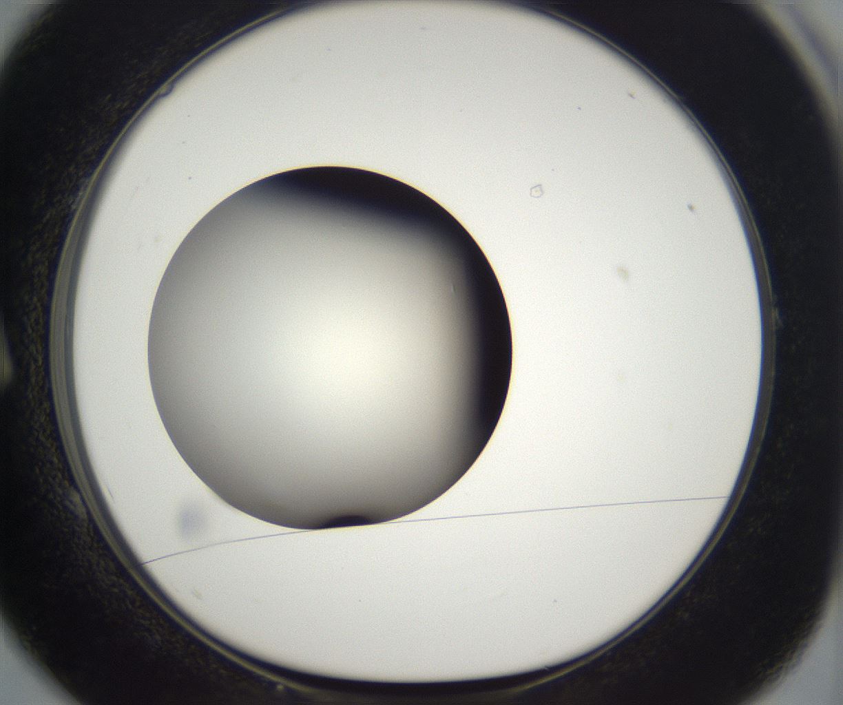folderID292_plateID2292_batchID10845_wellNum1_profileID1_d1_r160750_ef.jpg
