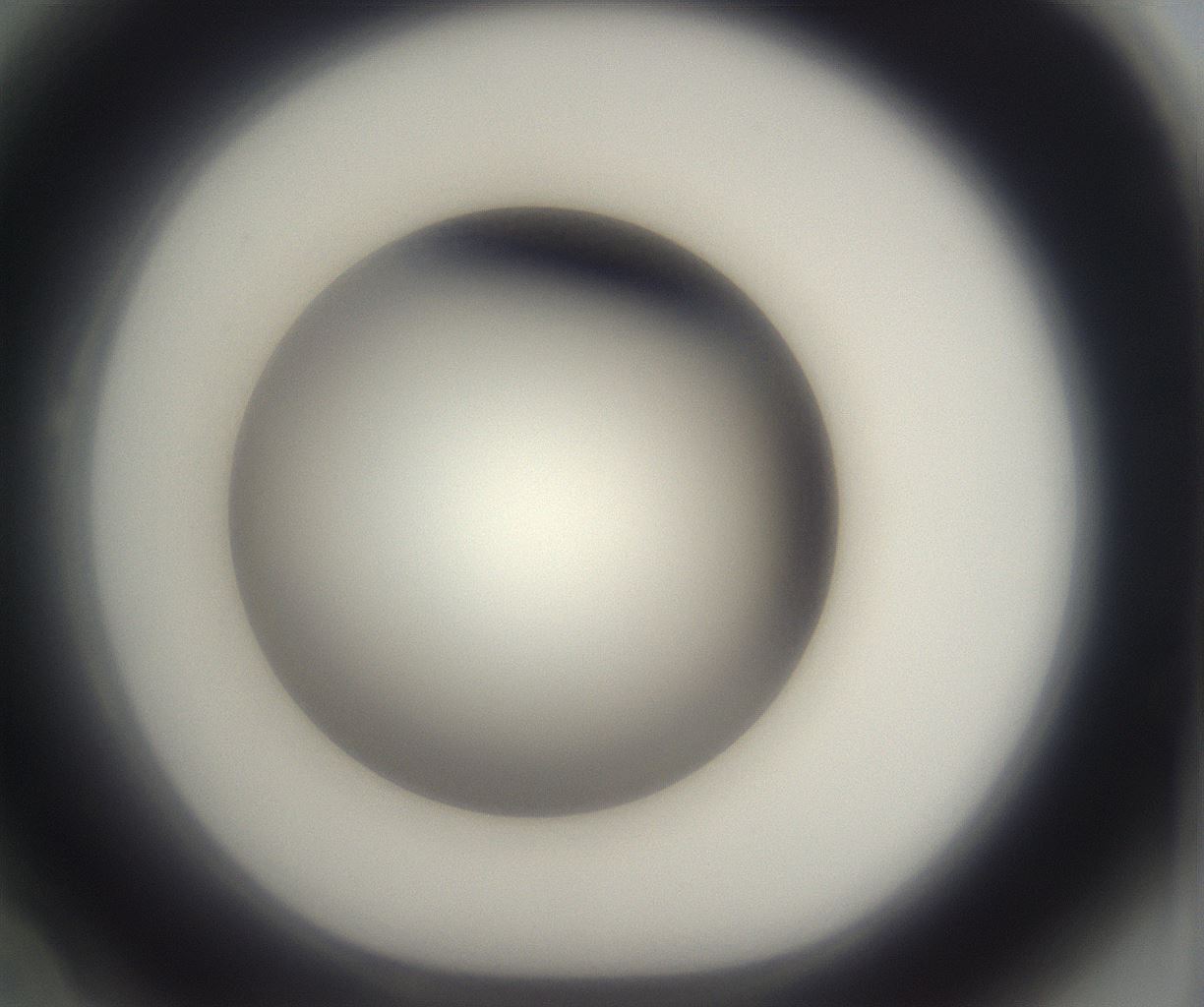 folderID292_plateID2292_batchID10845_wellNum22_profileID1_d1_r160771_ef.jpg