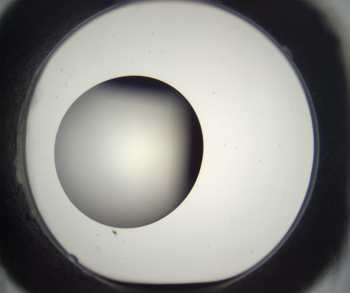 folderID292_plateID2292_batchID10845_wellNum23_profileID1_d1_r160772_ef.jpg