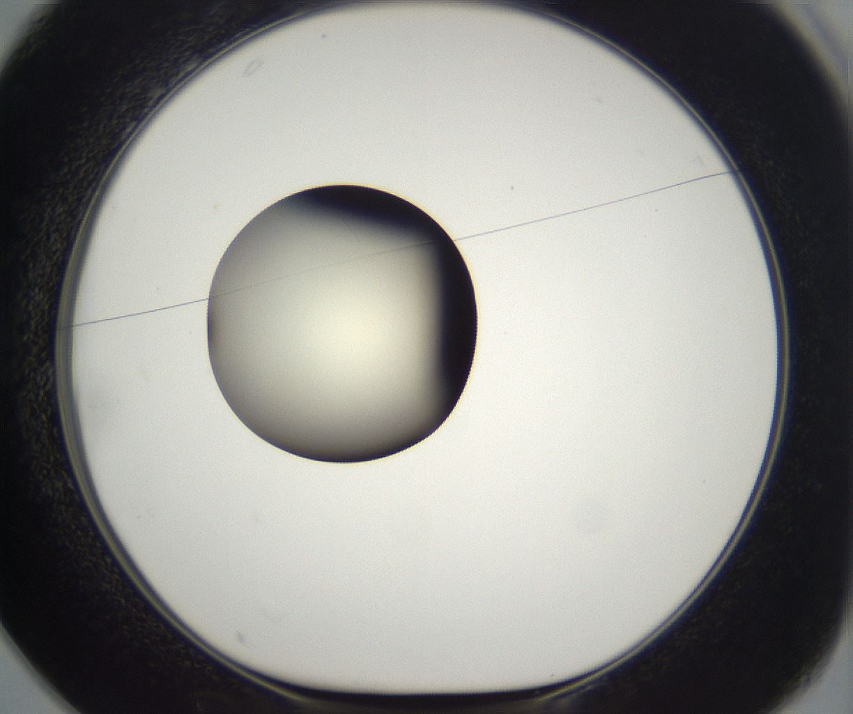 folderID292_plateID2292_batchID10845_wellNum25_profileID1_d1_r160774_ef.jpg