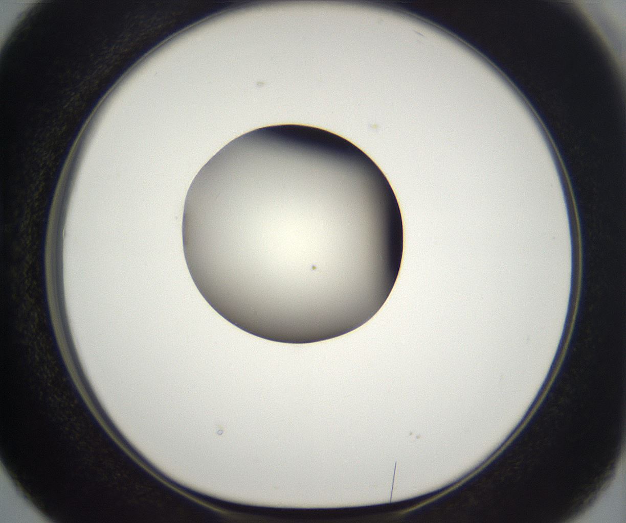 folderID292_plateID2292_batchID10845_wellNum38_profileID1_d1_r160787_ef.jpg