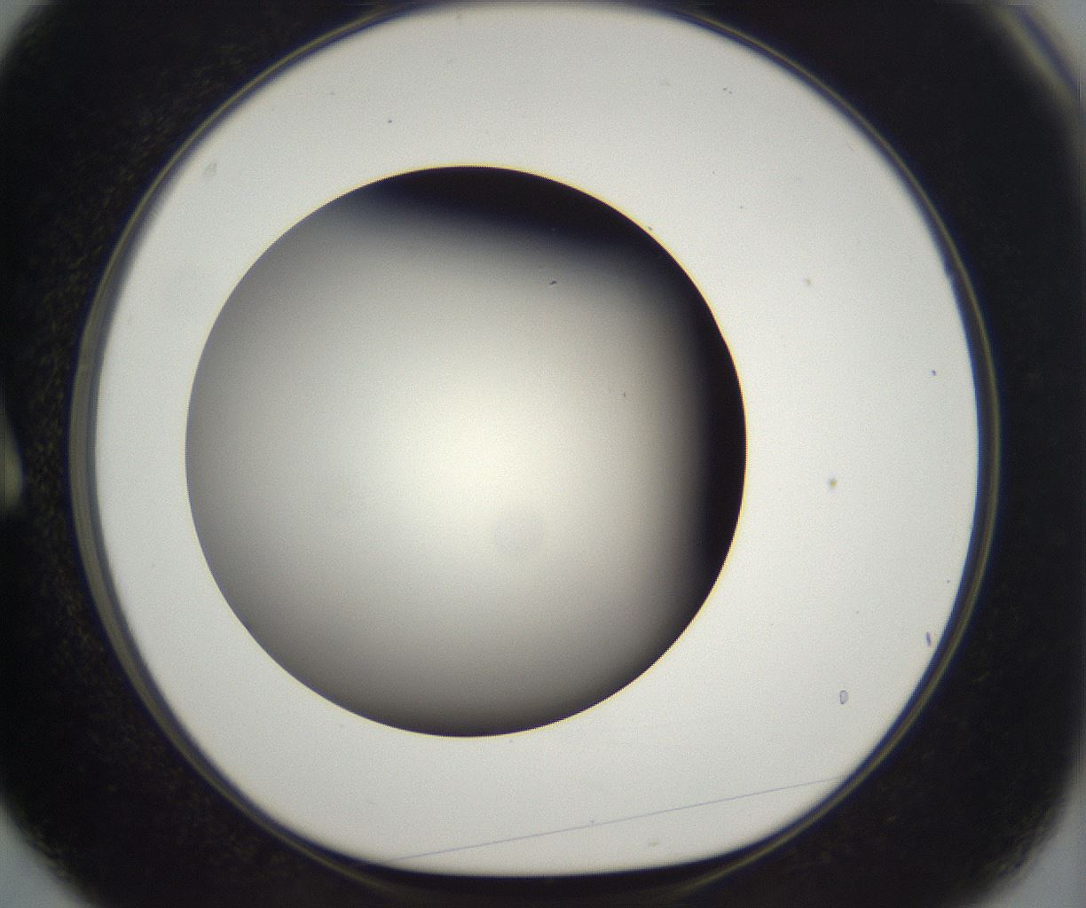 folderID292_plateID2292_batchID10845_wellNum3_profileID1_d1_r160752_ef.jpg