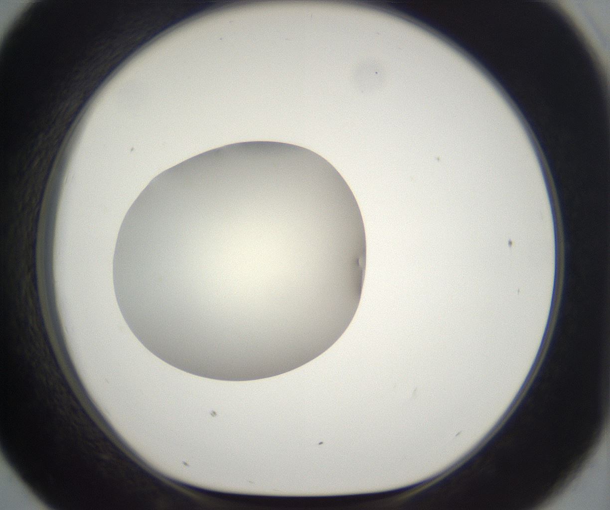folderID292_plateID2292_batchID10845_wellNum43_profileID1_d1_r160792_ef.jpg