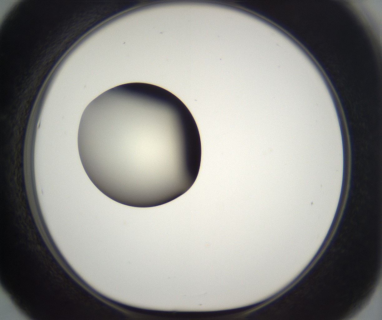 folderID292_plateID2292_batchID10845_wellNum53_profileID1_d1_r160802_ef.jpg