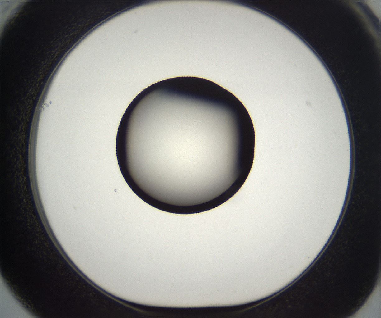 folderID292_plateID2292_batchID10845_wellNum61_profileID1_d1_r160810_ef.jpg