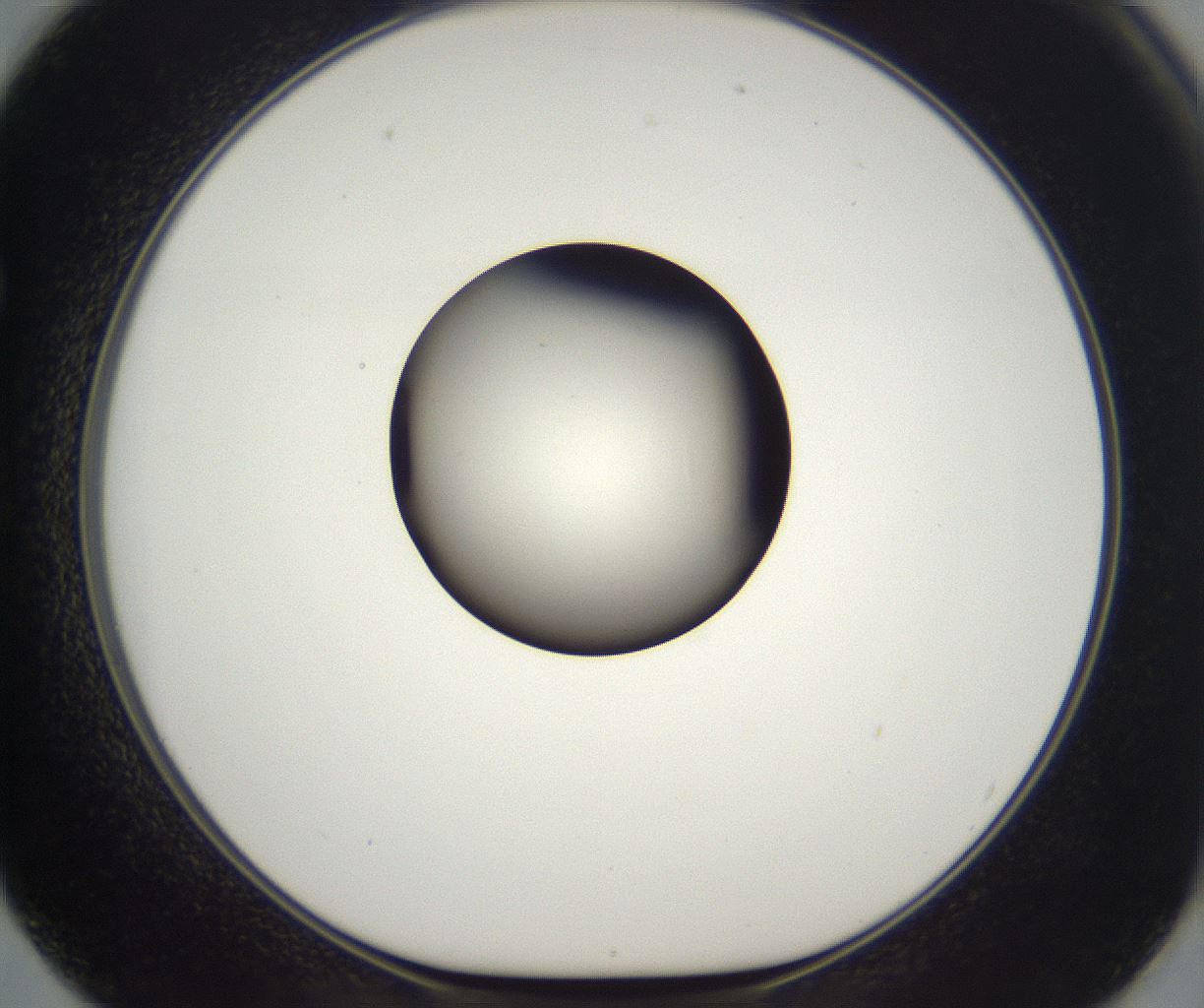 folderID292_plateID2292_batchID10845_wellNum62_profileID1_d1_r160811_ef.jpg