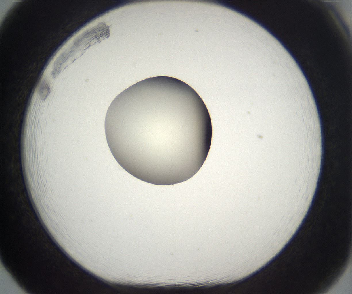 folderID292_plateID2292_batchID10845_wellNum65_profileID1_d1_r160814_ef.jpg