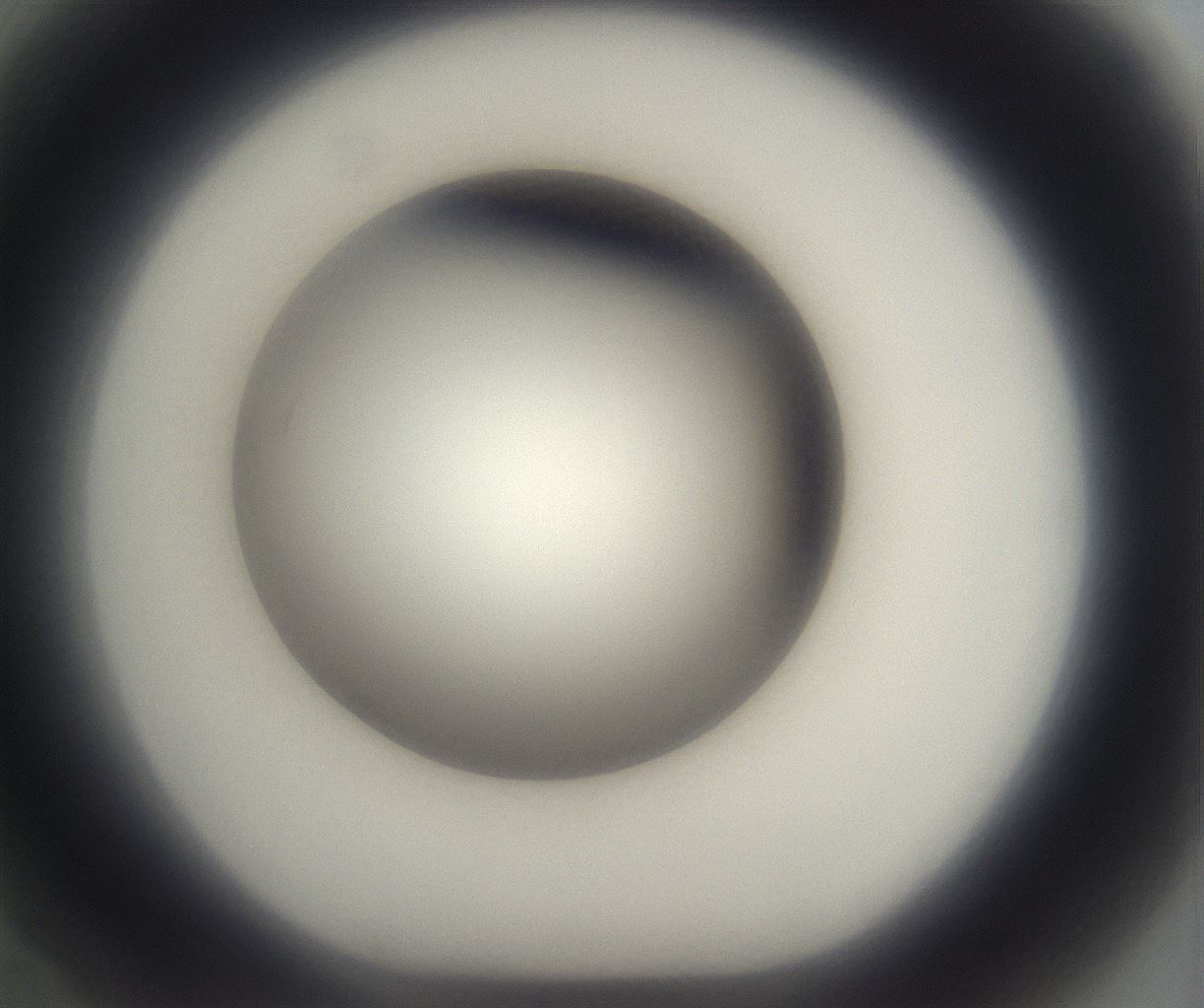 folderID292_plateID2292_batchID10845_wellNum70_profileID1_d1_r160819_ef.jpg
