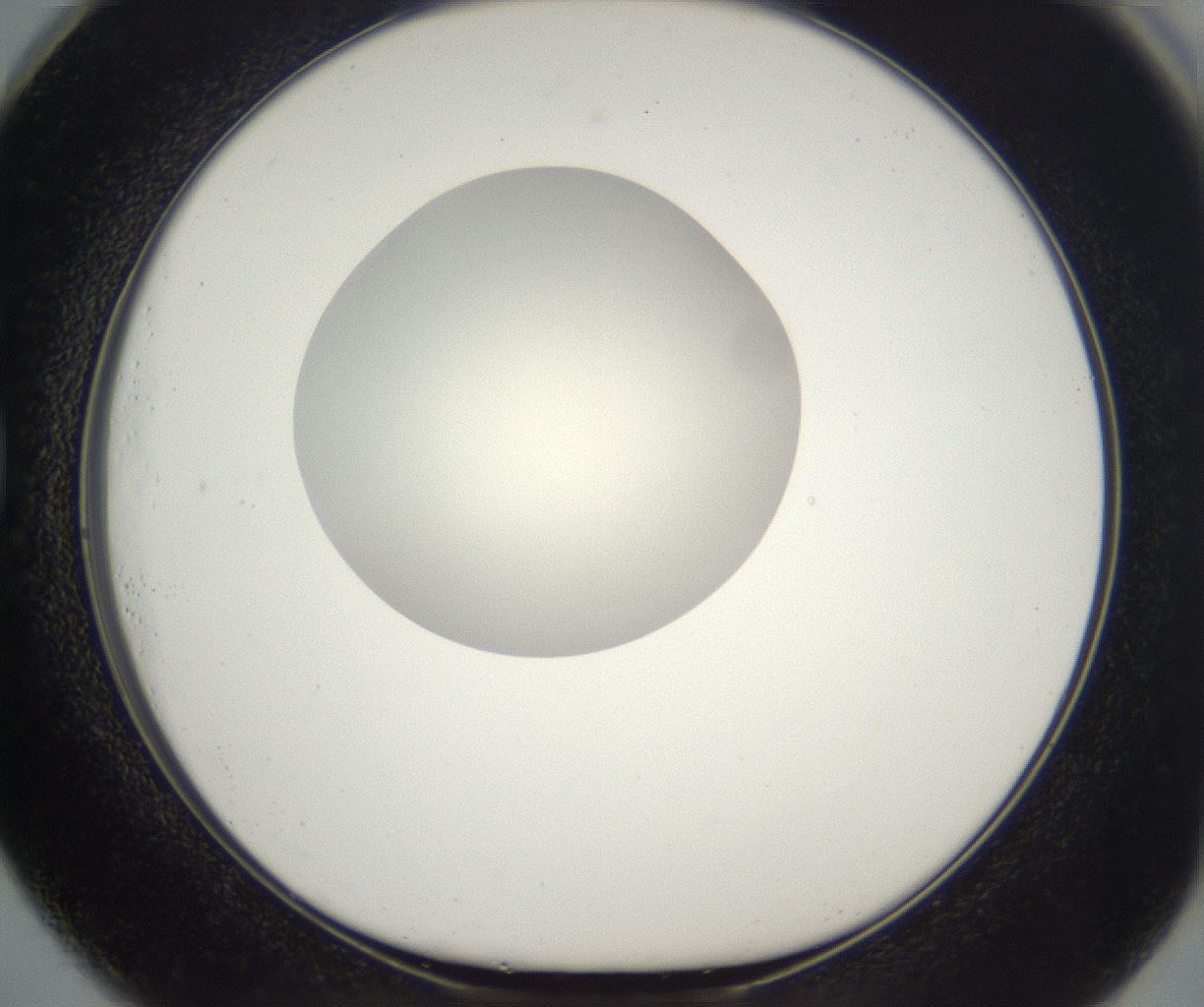 folderID292_plateID2292_batchID10845_wellNum73_profileID1_d1_r160822_ef.jpg