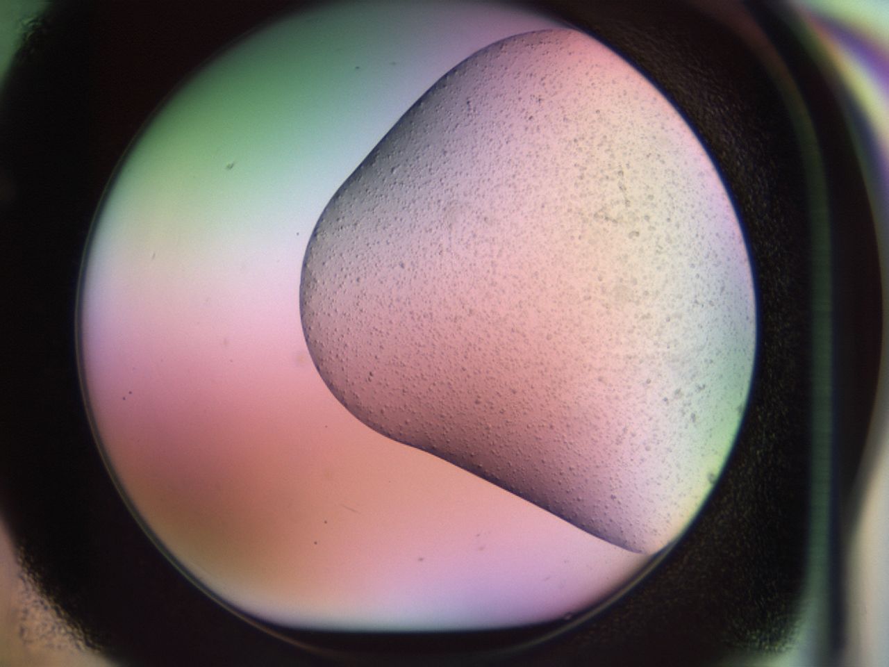 02k9_F5_ImagerDefaults_6.jpg