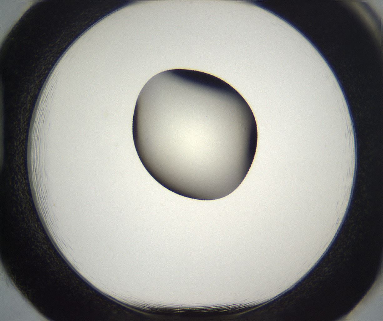 folderID292_plateID2292_batchID10845_wellNum85_profileID1_d1_r160834_ef.jpg