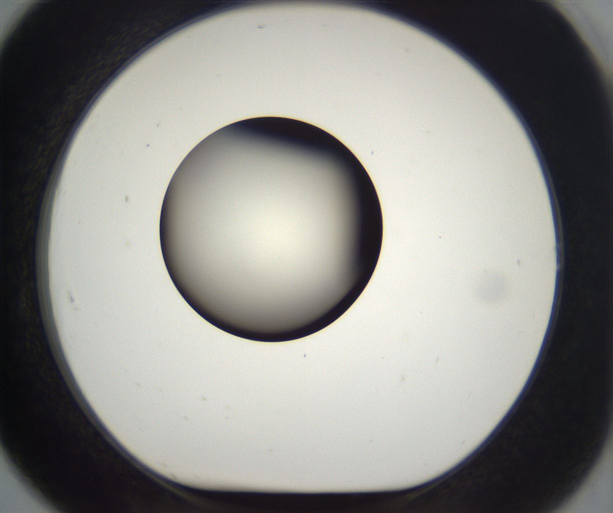 folderID292_plateID2292_batchID10845_wellNum91_profileID1_d1_r160840_ef.jpg