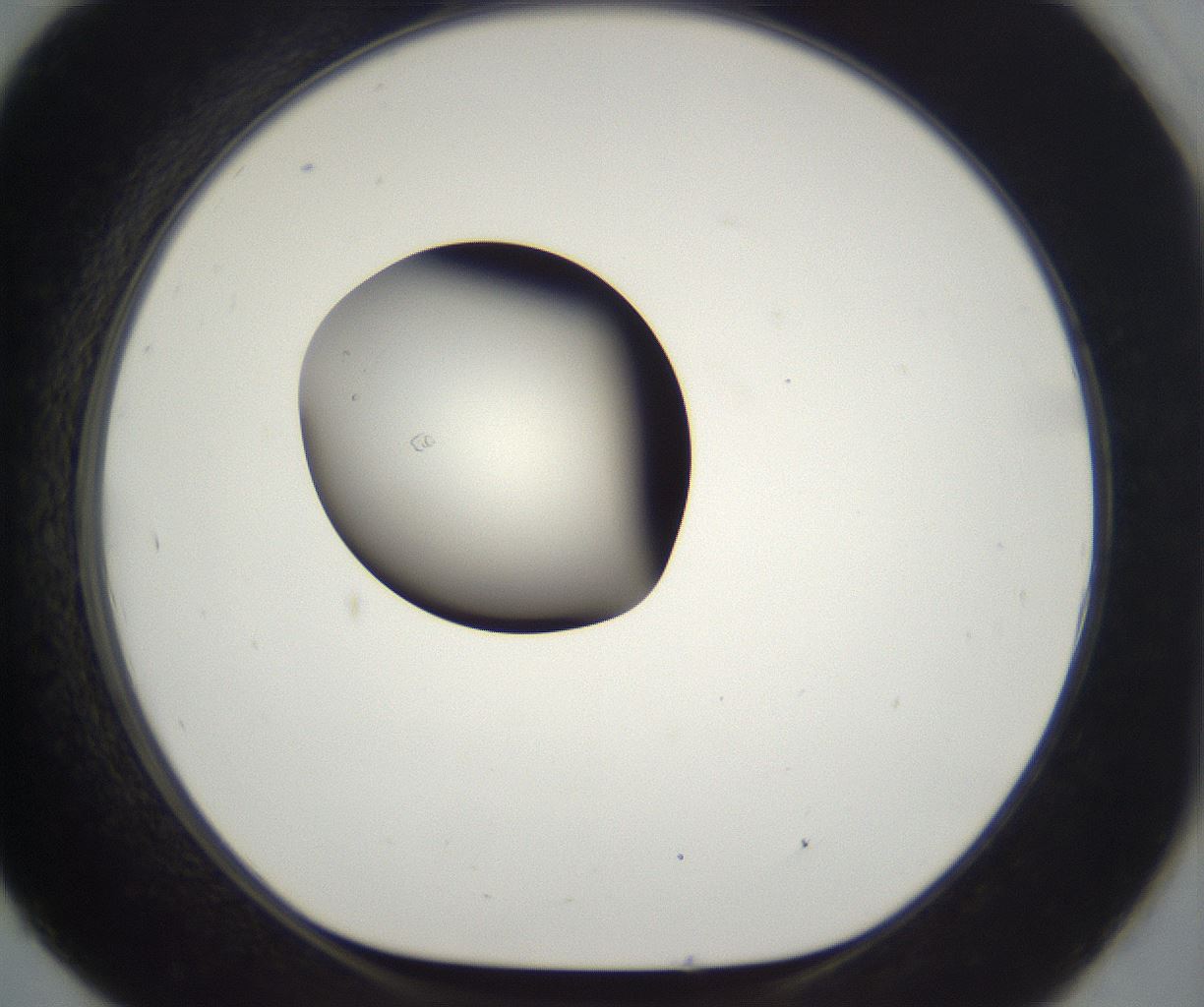 folderID292_plateID2292_batchID10845_wellNum93_profileID1_d1_r160842_ef.jpg