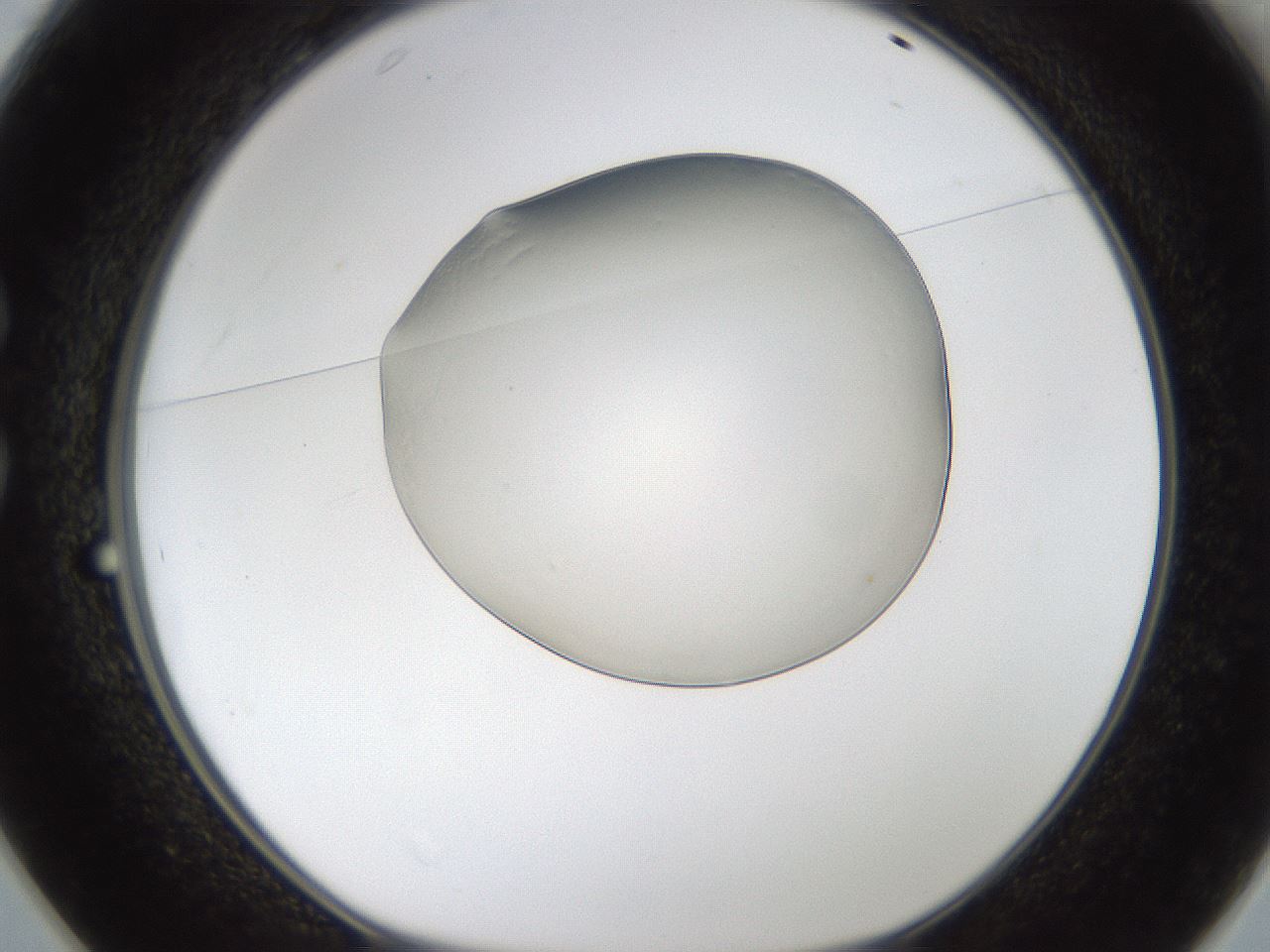 folderID293_plateID1293_batchID4282_wellNum25_profileID1_d1_r77768_ef.jpg