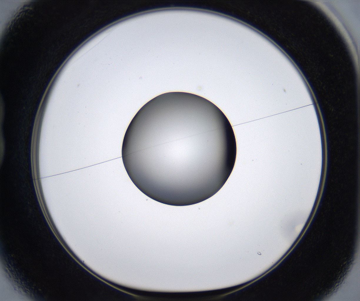 folderID293_plateID2293_batchID10825_wellNum13_profileID1_d1_r160090_ef.jpg