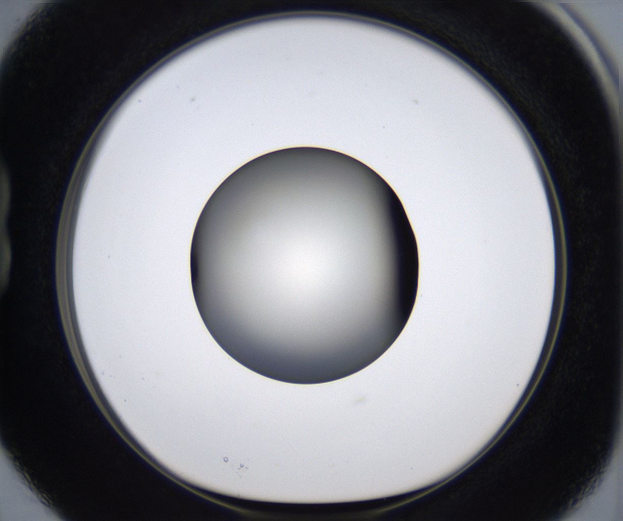 folderID293_plateID2293_batchID10825_wellNum15_profileID1_d1_r160092_ef.jpg
