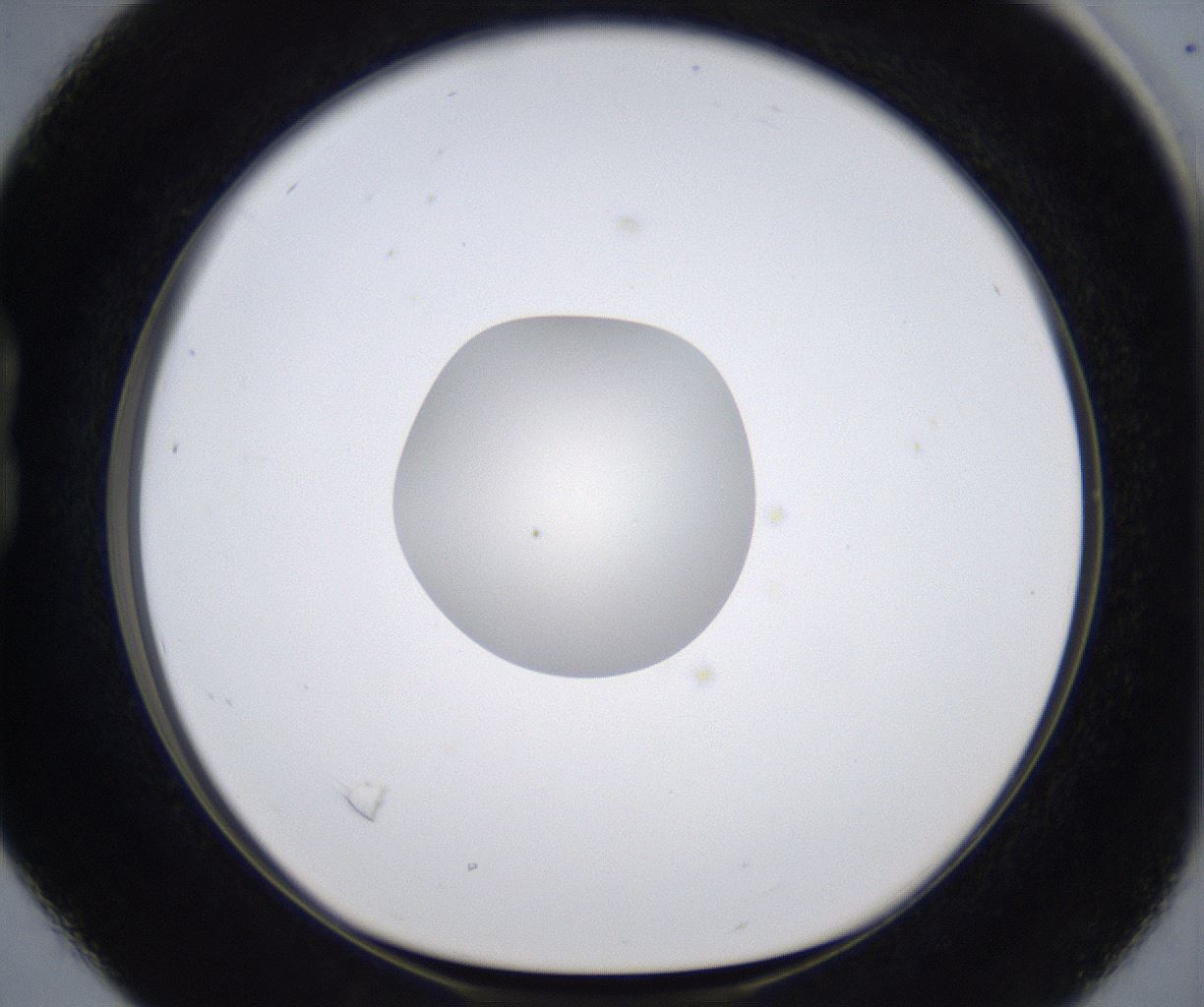 folderID293_plateID2293_batchID10825_wellNum16_profileID1_d1_r160093_ef.jpg