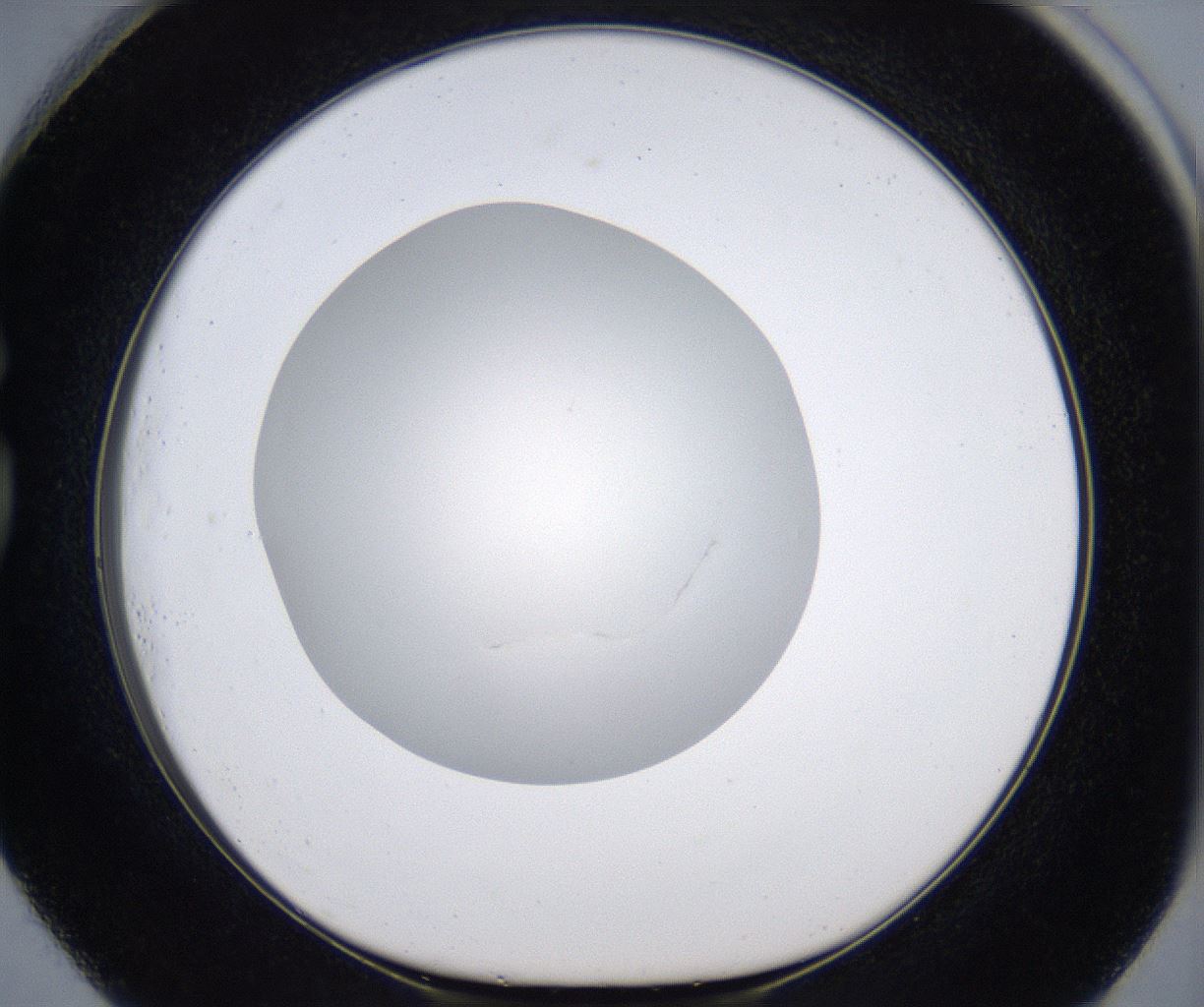 folderID293_plateID2293_batchID10825_wellNum73_profileID1_d1_r160150_ef.jpg